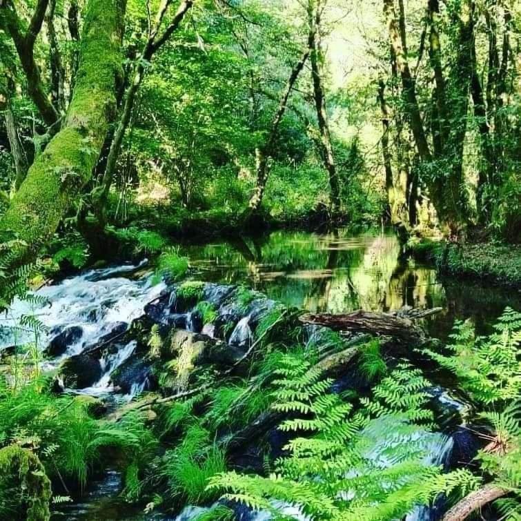 A Cantaruxa Maruxa Turismo Rural Мондарис Экстерьер фото